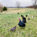 Electric Fence Poultry Netting, 164ft x 48in, Extra-Thick Portable Fence for Chicken Fence, Livestock, Dogs