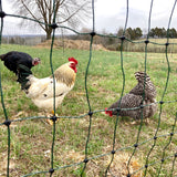 Electric Fence Poultry Netting, 164ft x 48in, Extra-Thick Portable Fence for Chicken Fence, Livestock, Dogs