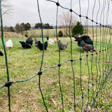 Electric Fence Poultry Netting, 164ft x 48in, Extra-Thick Portable Fence for Chicken Fence, Livestock, Dogs